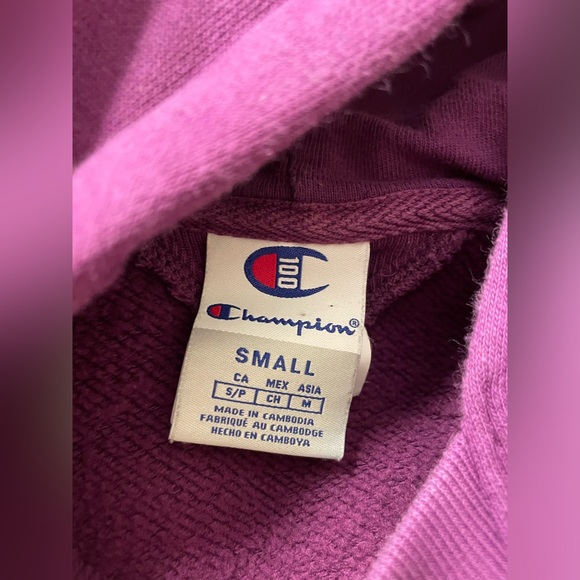 NWOT Champion 100th Anniversary Athletic Hoodie - Picture 4 of 5